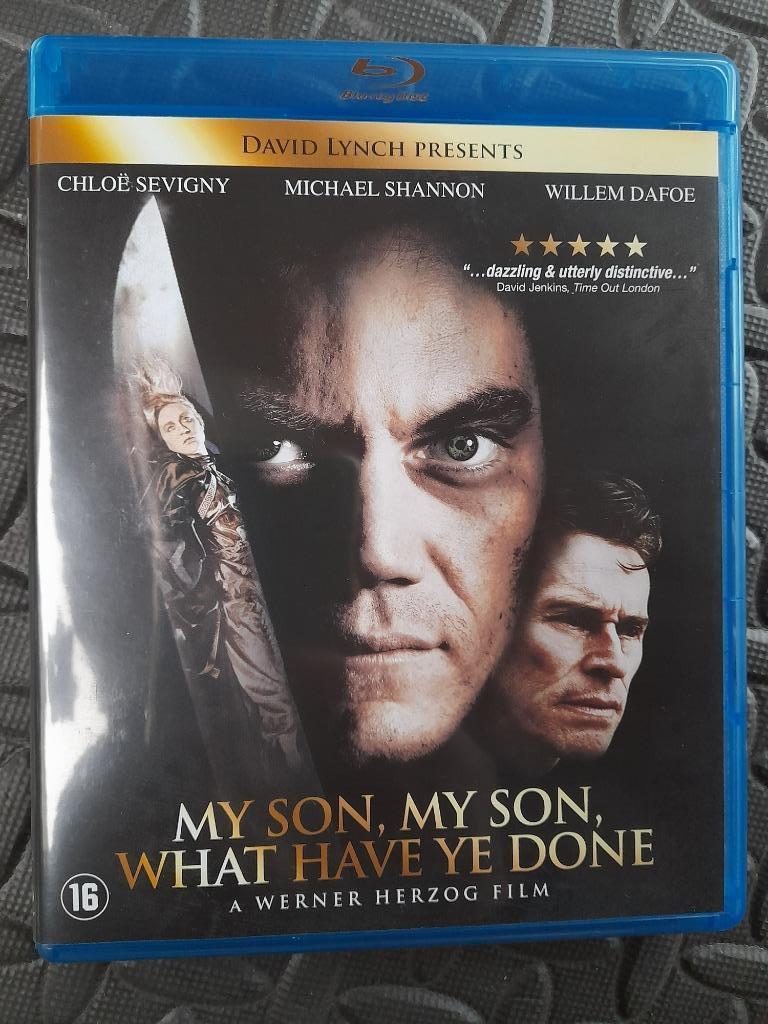 My Son, My Son, What Have Ye done  ( Werner Herzog ), Enlèvement ou Envoi, Horreur