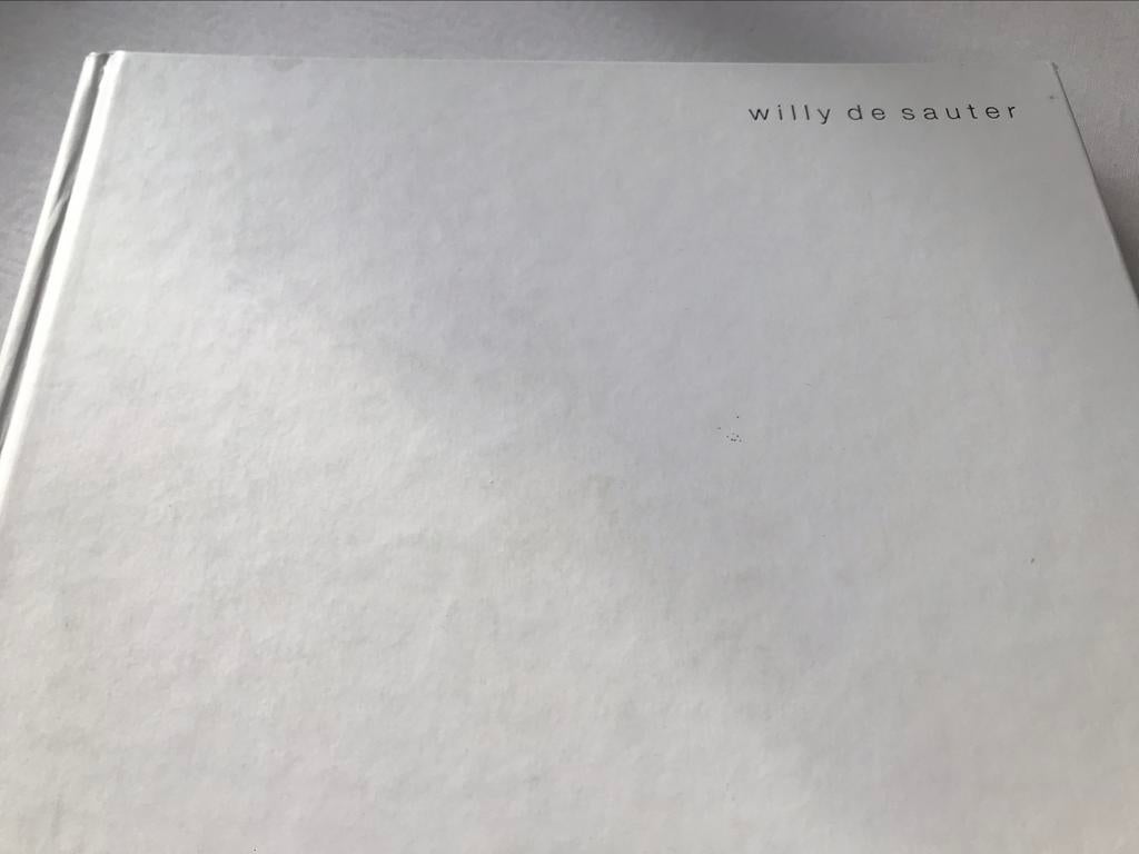 Peintures de Willy De Sauter 210 pages, Enlèvement ou Envoi, Comme neuf, Peinture et dessin