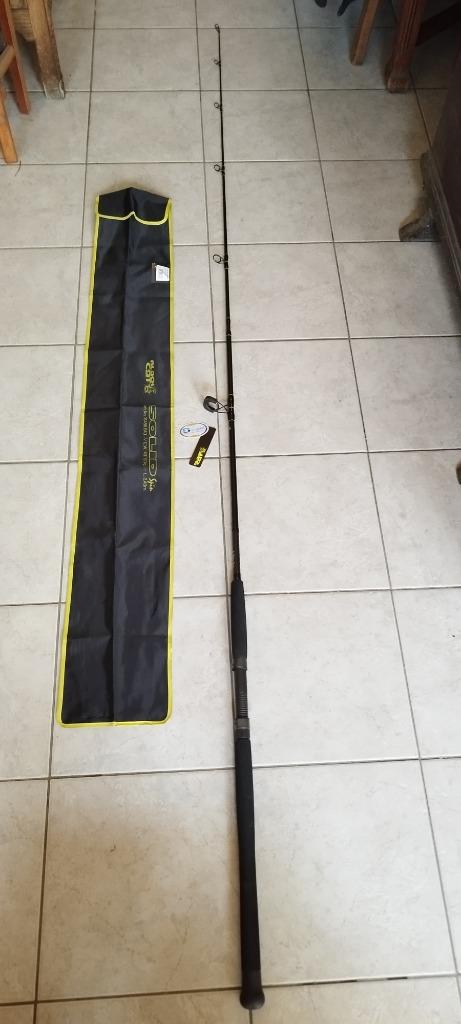 Canne Silure Black Cat Solid Spin 240cm/40-160g, Enlèvement ou Envoi, Neuf, Canne à lancer