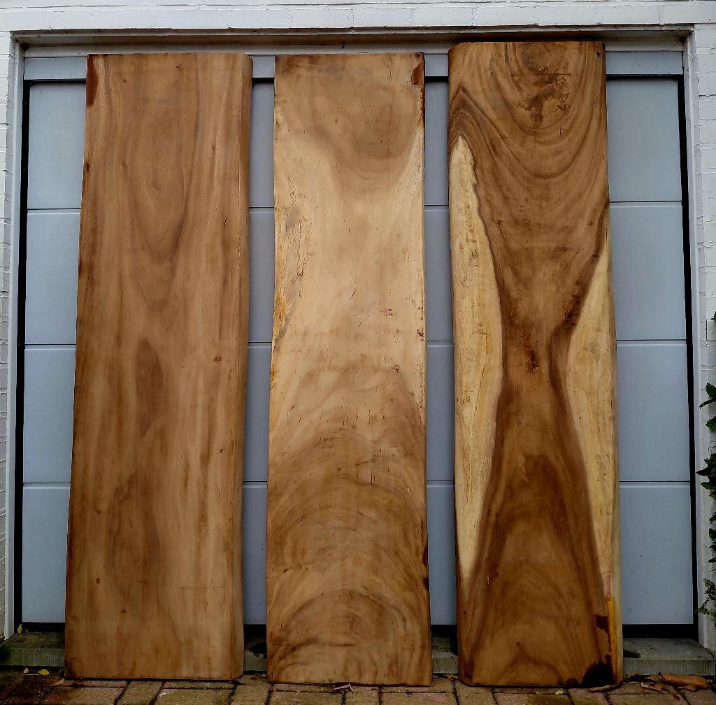 Feuilles de tronc d'arbre en sucre., Bricolage & Construction, Bois & Planches, Enlèvement ou Envoi, Neuf