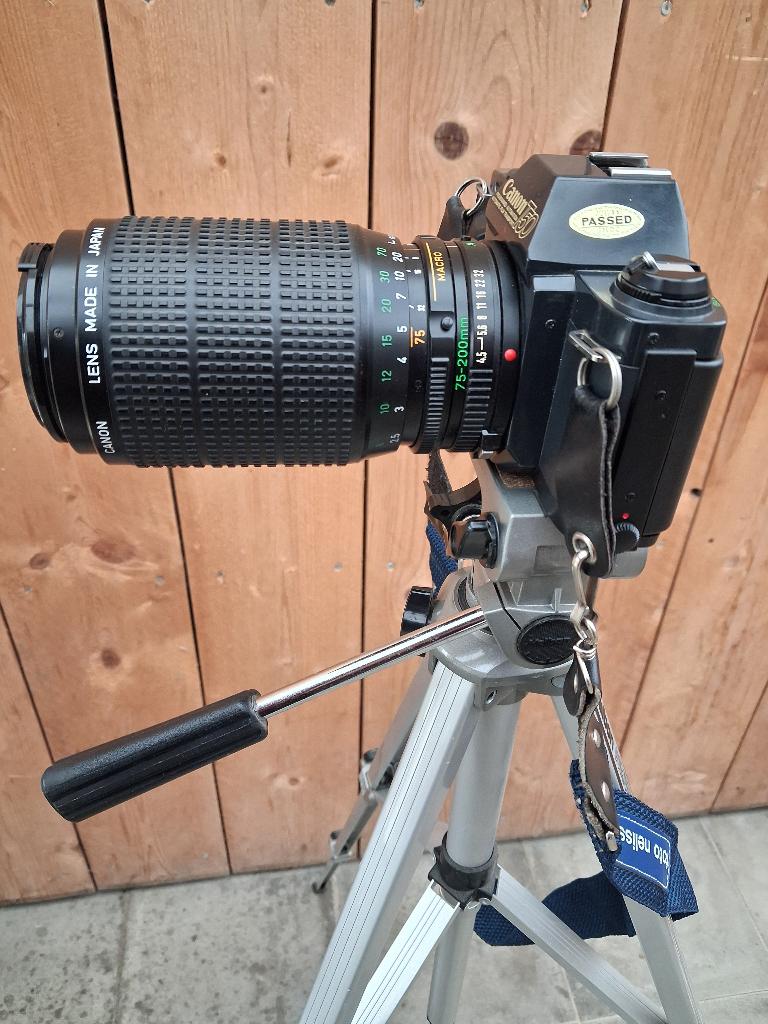 FOTOTOESTEL CANON T50, Enlèvement, Utilisé, Canon