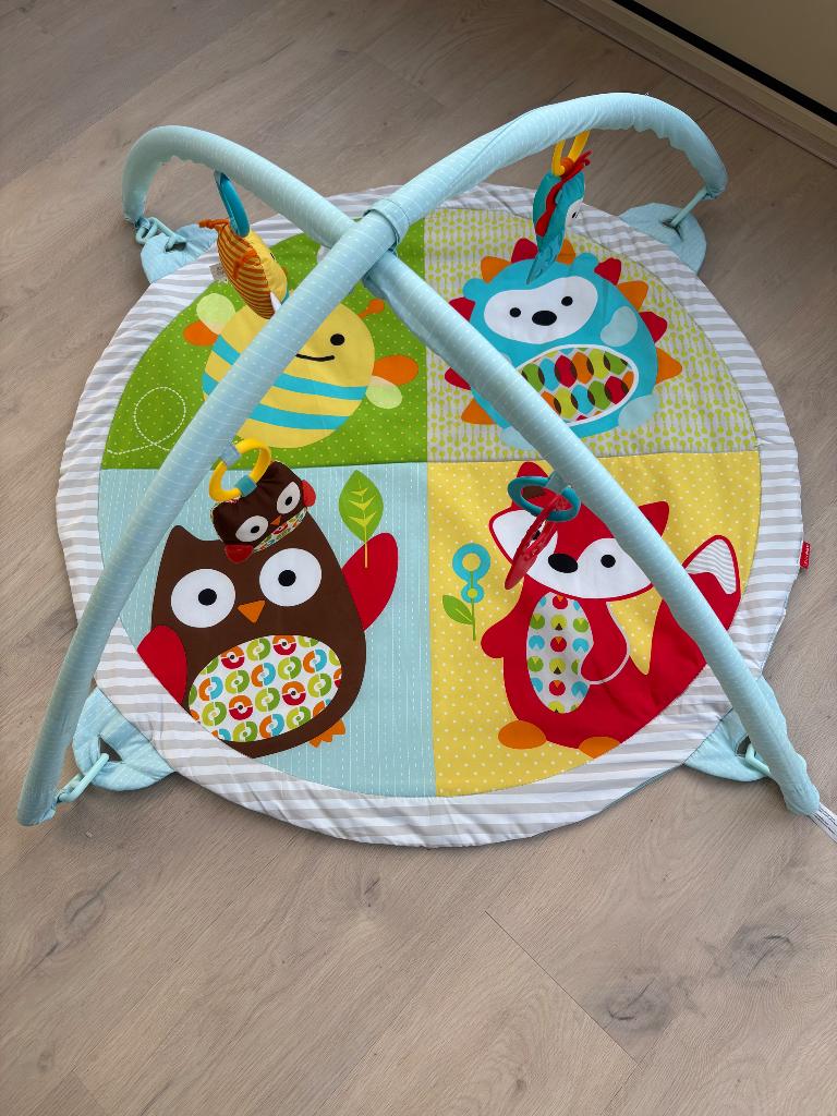 Speelmat / Activity Gym Skip*Hop, Kinderen en Baby's, Speelgoed | Speelkleden, Gebruikt, Ophalen