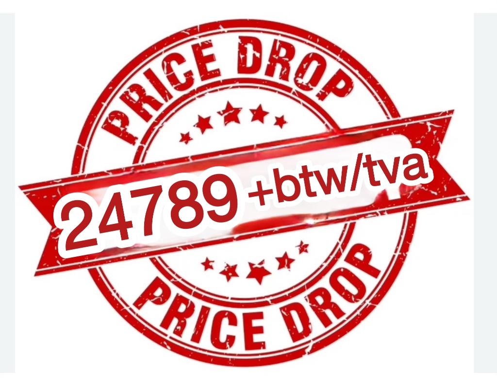 Model 3 Long Range Dual *Garantie*, Auto's, Tesla, Automaat, Blauw, 370 kW, Leder