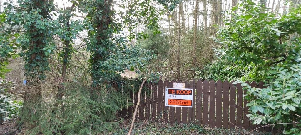 recreatiegrond  Balen 3170 m² is verkocht, Immo, Chalet, Verkoop zonder makelaar, Provincie Antwerpen