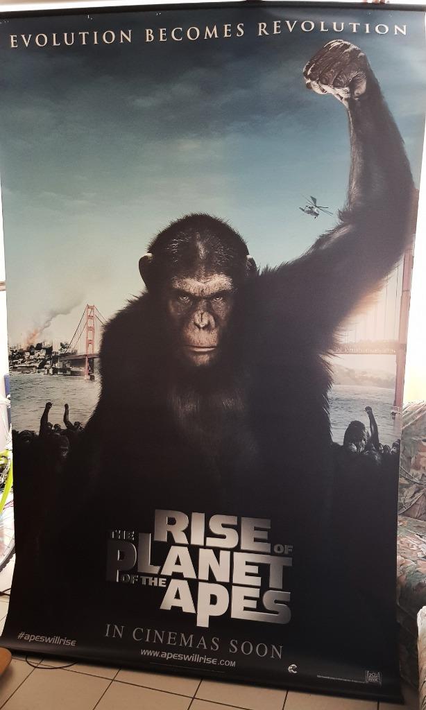 Banner Rise of The Planet Of The Apes, Verzamelen, Ophalen, Rechthoekig Staand, Deurposter of groter, Zo goed als nieuw