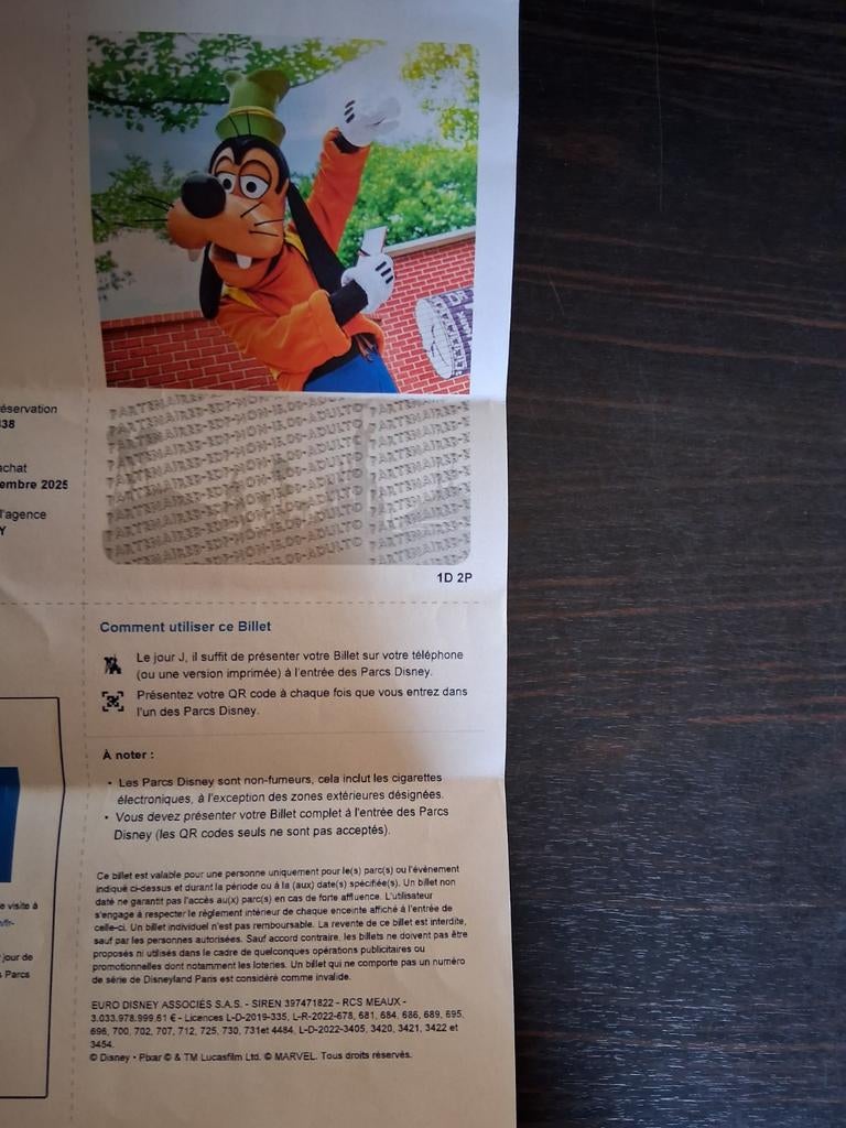 2 billets liberté 2 parcs disneyland paris, Tickets en Kaartjes