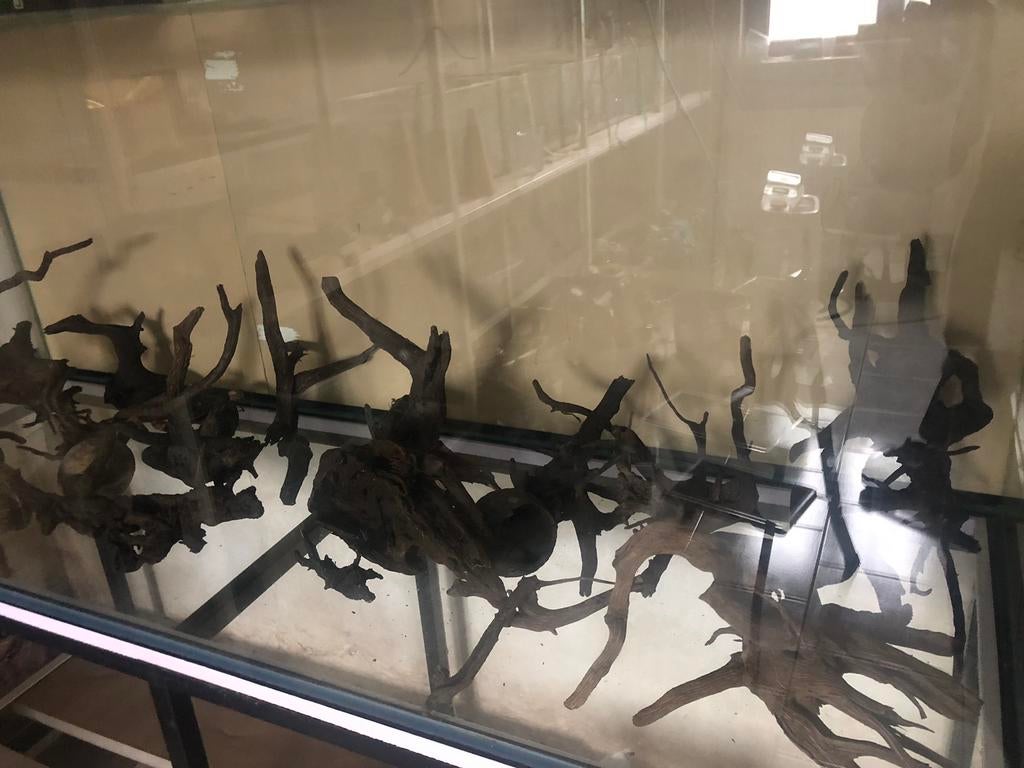 Bois pour aquarium, Enlèvement, Utilisé