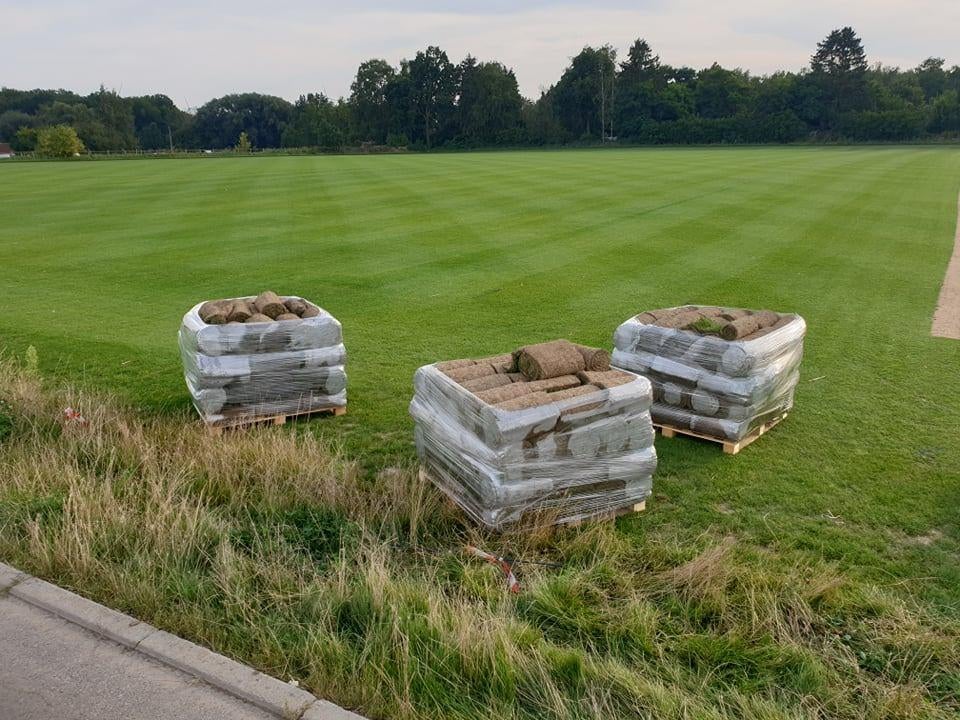 gazon en rouleaux, Jardin & Terrasse, Gazon & Gazon artificiel, Enlèvement, Neuf, 20 m² ou plus, Herbe