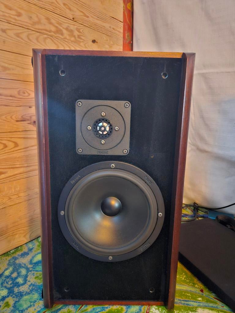 Magnat luidsprekers, Enlèvement, Magnat