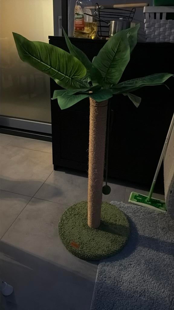 Krabpaal, Dieren en Toebehoren, Ophalen, Krabpaal