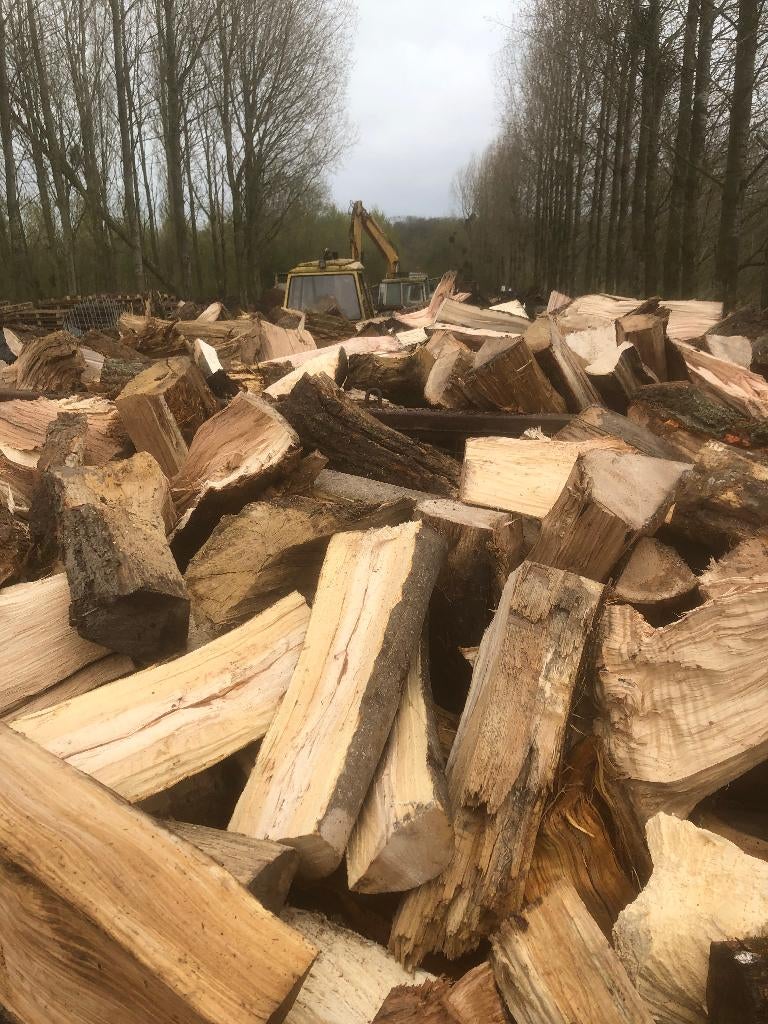 bois de chauffage, Enlèvement ou Envoi, Hêtre, Bûches