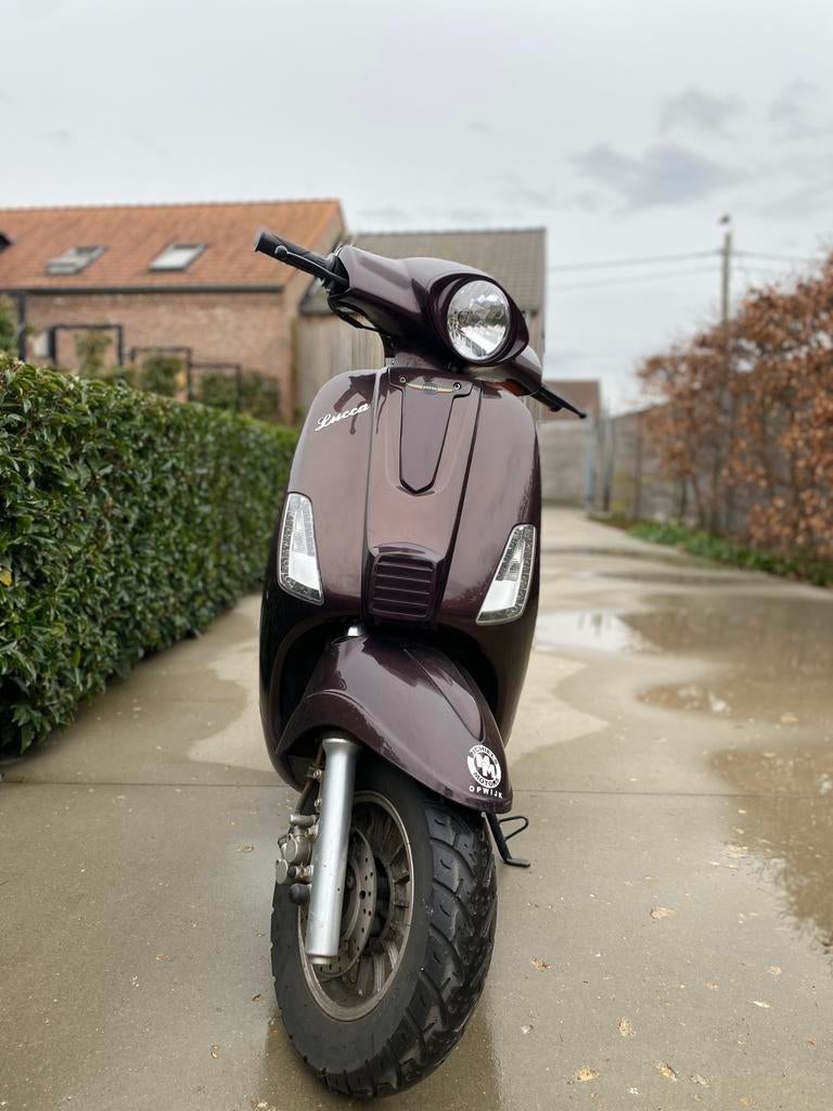 Razzo Luca, Vélos & Vélomoteurs, Autres marques, Enlèvement, Utilisé, Essence