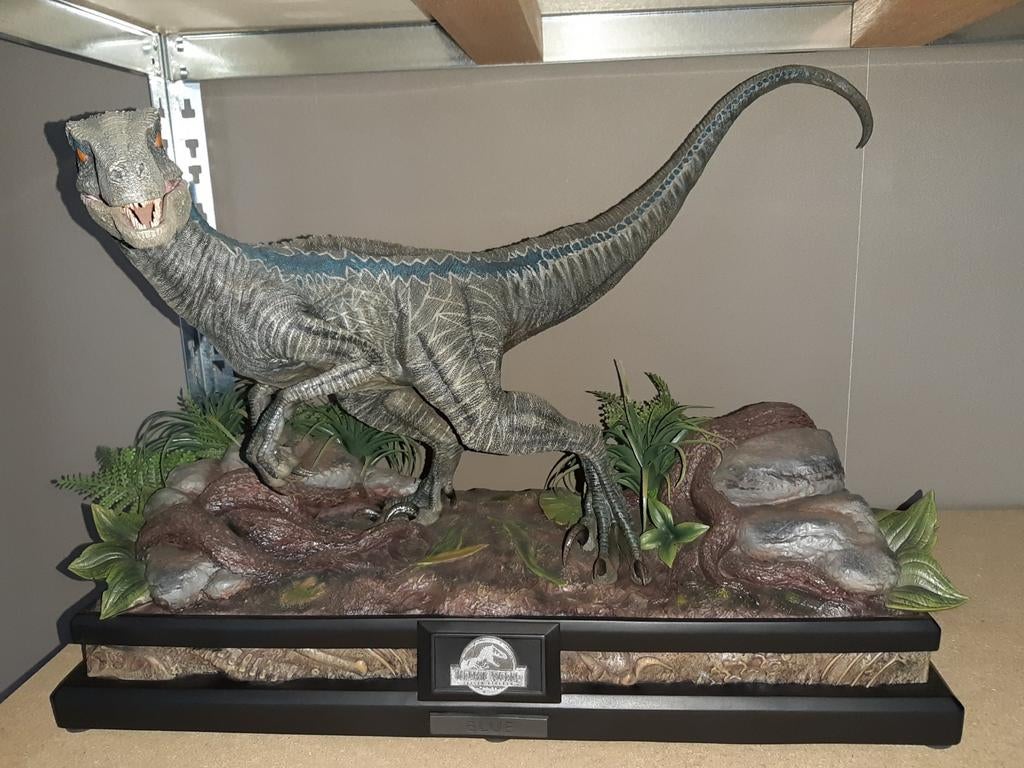 Prime 1 Bleu, Collections, Enlèvement