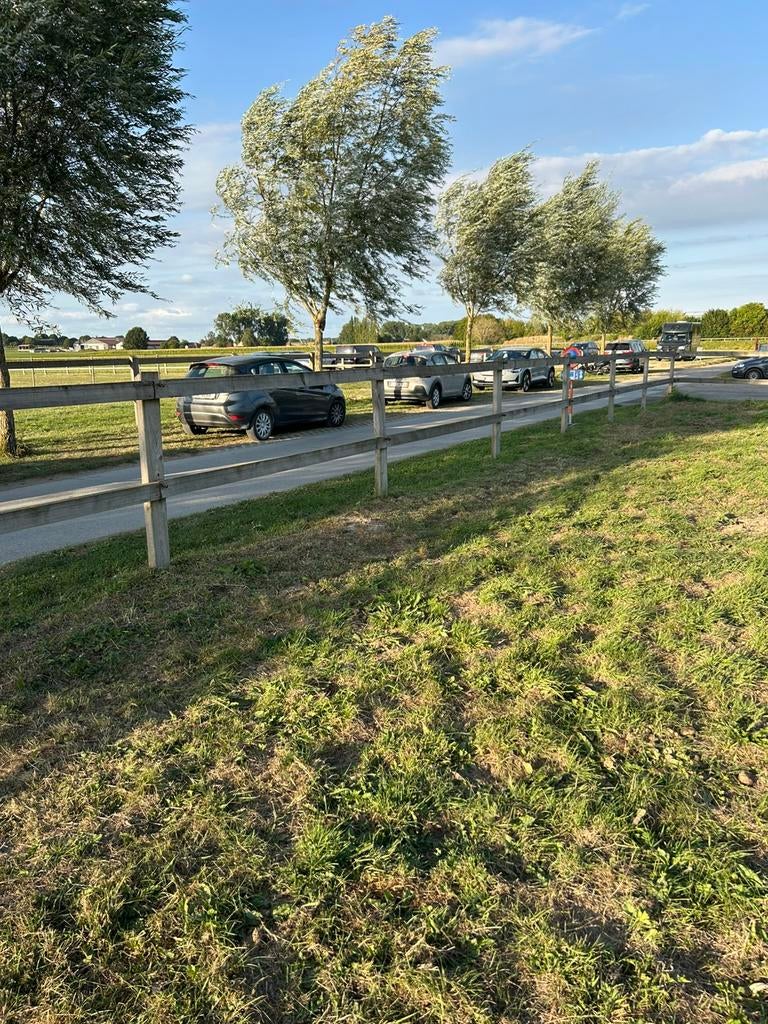 Fermeture de Cambridge Meadow, Pâturage