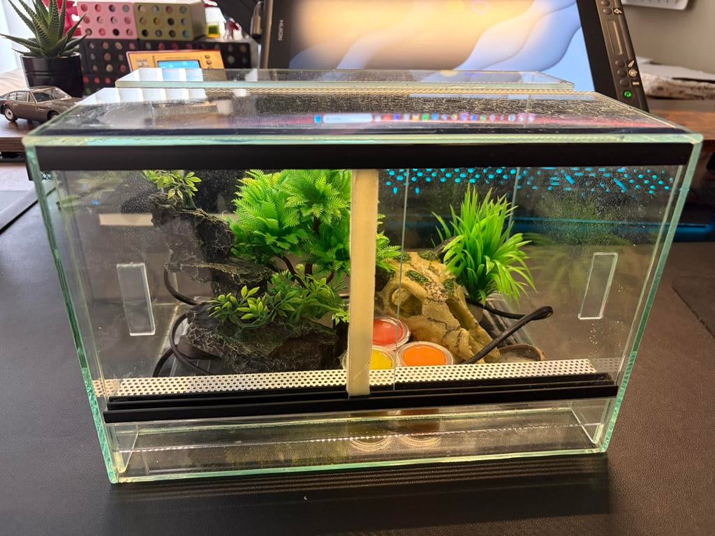 Klein Reptiel Terrarium + Starter Kit, Ophalen, Zo goed als nieuw
