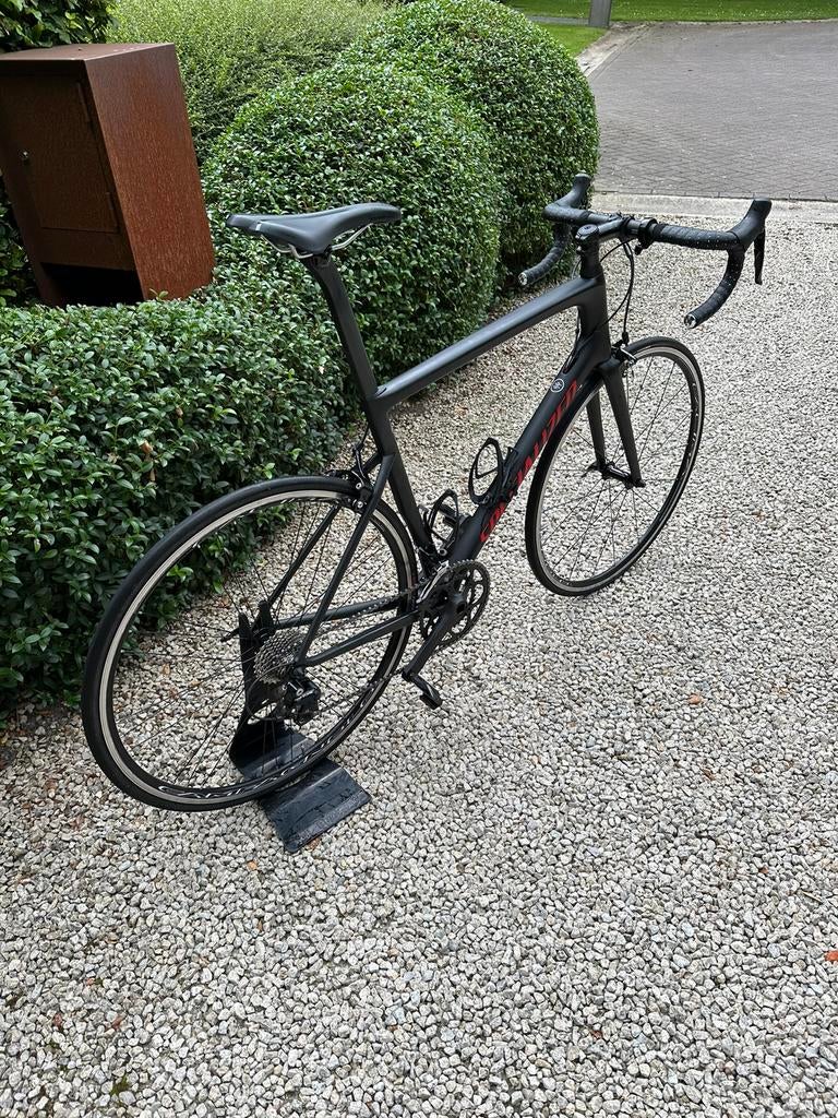 Specialized Pro 58 (Carbon) + Fulcrum velgen, Fietsen en Brommers, 28 inch, Gebruikt, Carbon, Heren