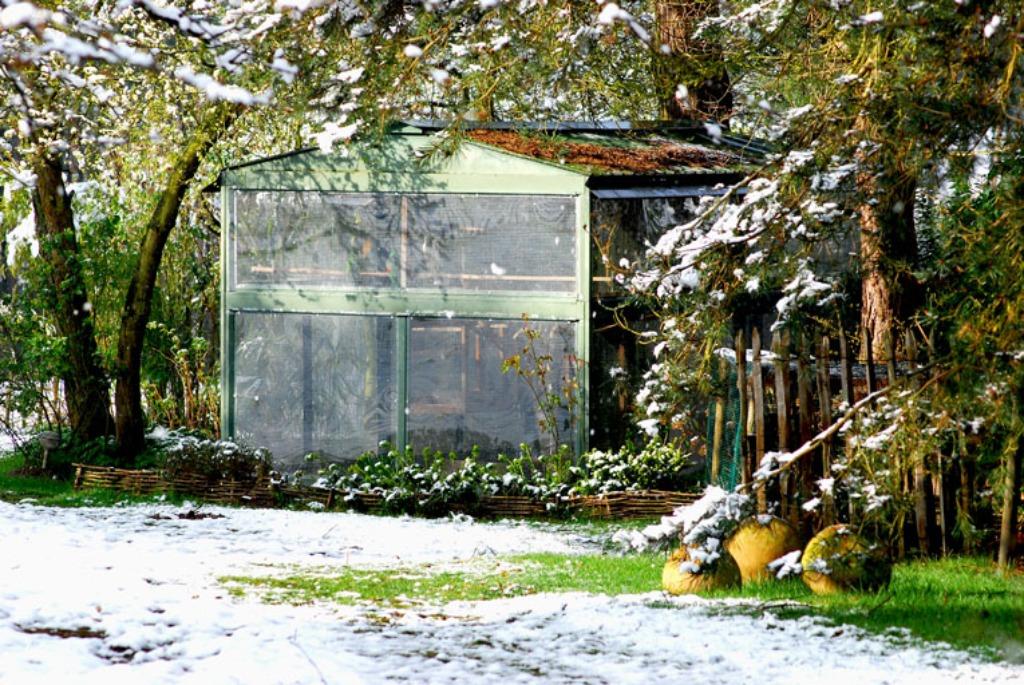 Volière voor buiten, Dieren en Toebehoren, Vogels | Hokken en Kooien, Gebruikt, Volière, Metaal, Ophalen