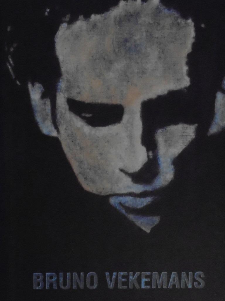 Bruno Vekemans  1   Monografie, Boeken, Kunst en Cultuur | Beeldend, Nieuw, Schilder- en Tekenkunst, Verzenden