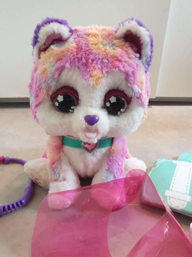 Interactieve hond, Ophalen, Hond