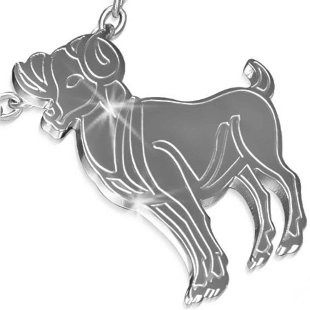 Ram horoscoop / sterrenbeeld hanger in edelstaal, Handtassen en Accessoires, Ophalen of Verzenden, Nieuw