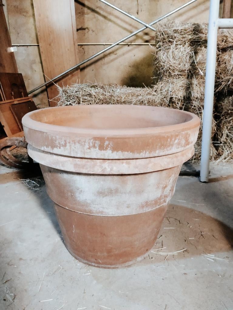 Pot en terre cuite pour extérieur, Enlèvement