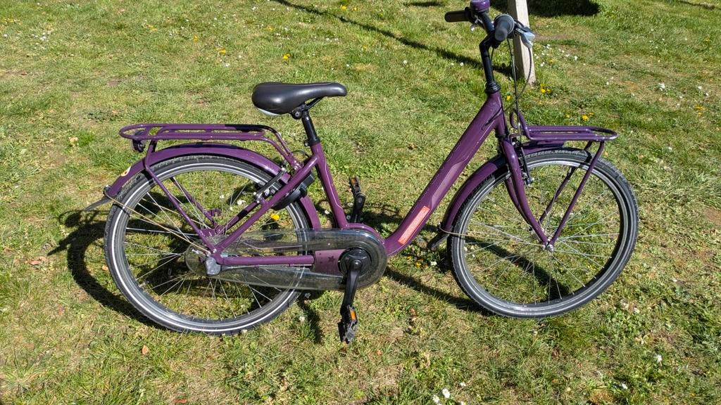 Batavus 24 inch, Enlèvement