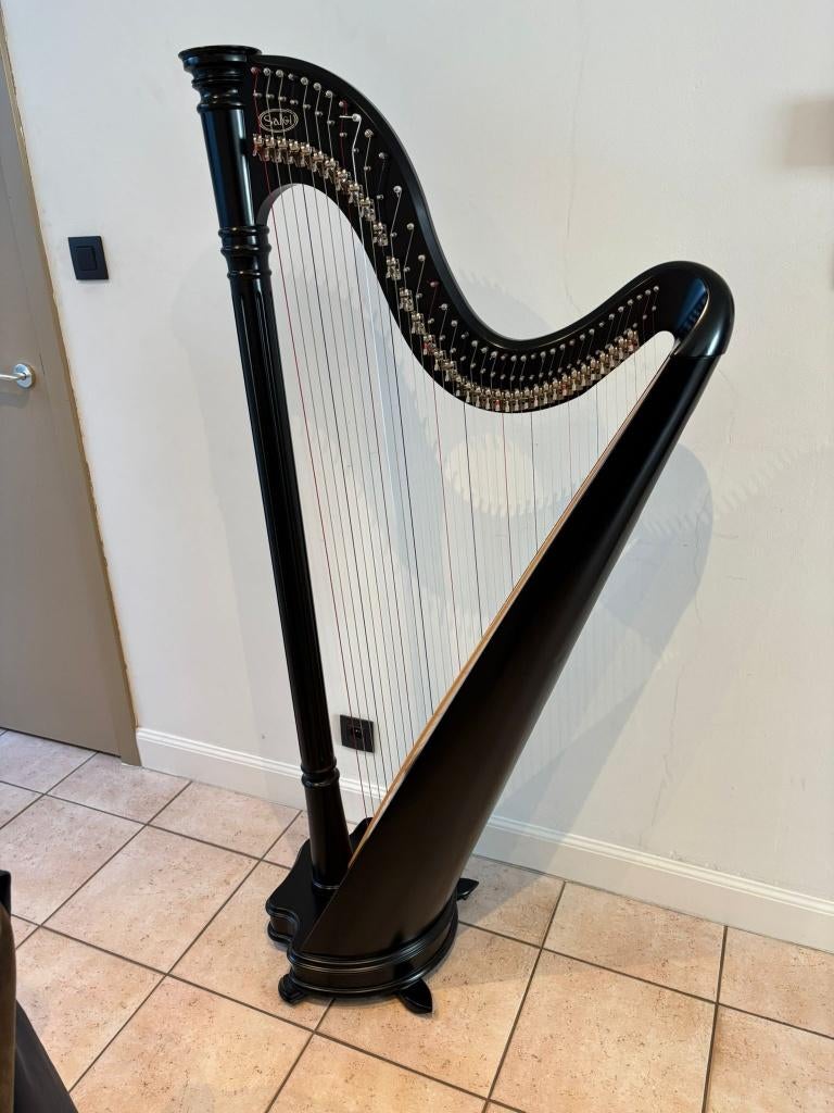 Harp Salvi Ana 38 snaren, Ophalen, Zo goed als nieuw