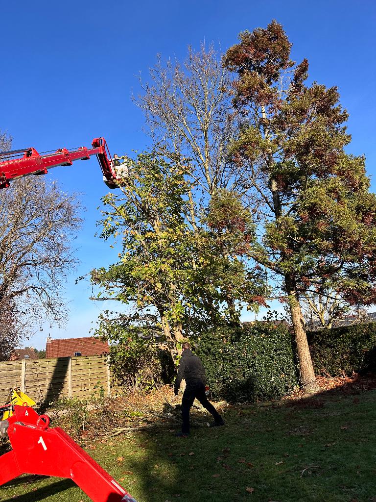 Alg. tuin , groen en grondwerk., Diensten en Vakmensen