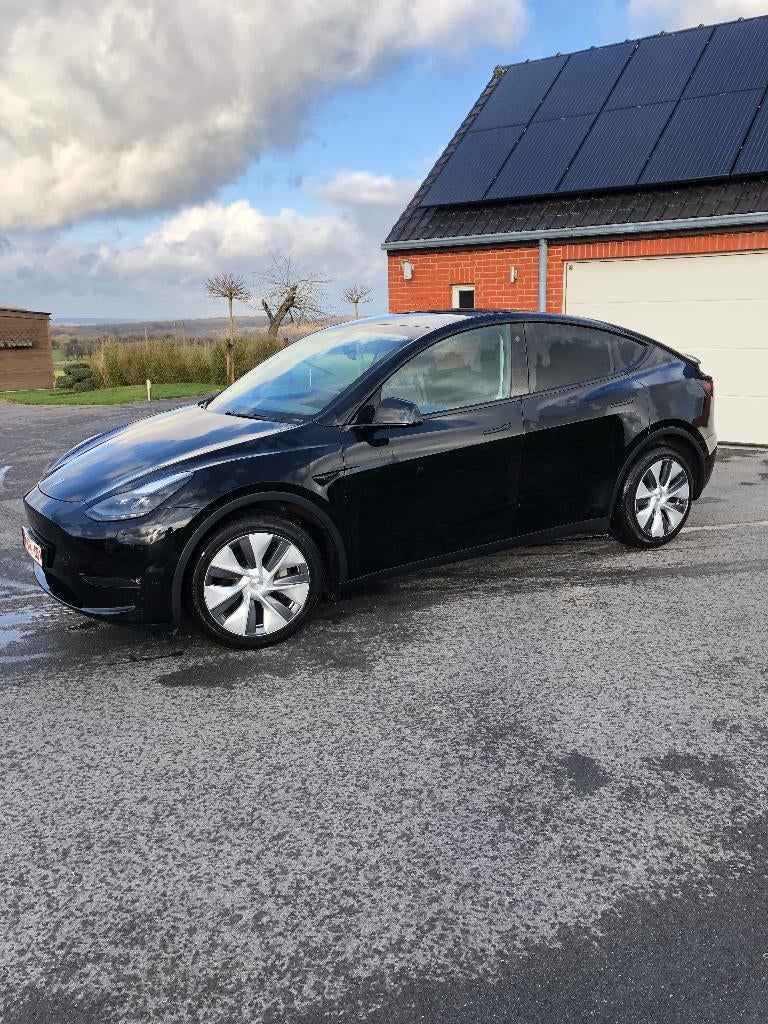 Tesla Model Y, Dual Motor Long Range AWD., Auto's, Tesla, Particulier, Model Y, 360° camera, 4x4, ABS, Achteruitrijcamera, Adaptive Cruise Control