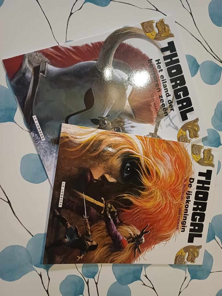Thorgal strips nr 1 en 2 van de reeks, Livres, BD, Enlèvement, Jean Van Hamme