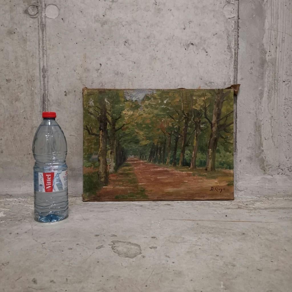 Ruelle ensoleillée bordée de platanes - Daniel Quyo, Antiquités & Art, Enlèvement