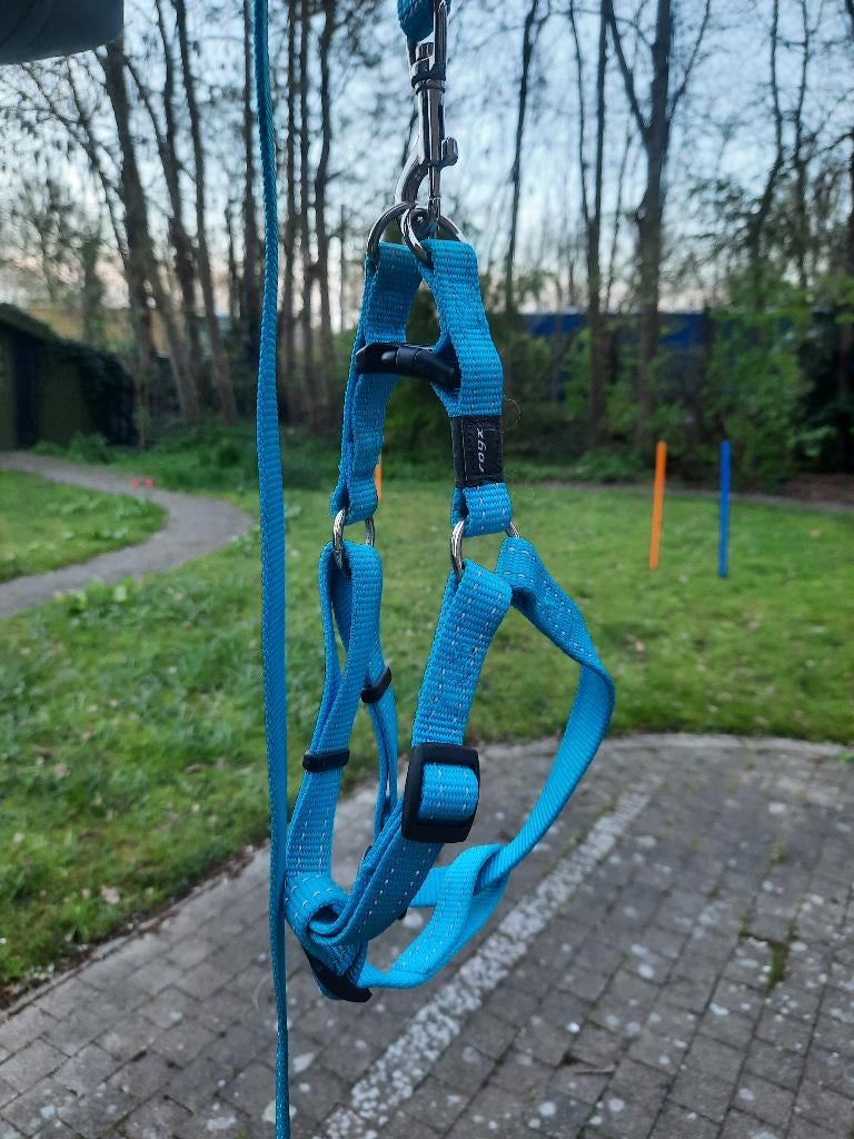 Rogz for Dogs tuigje en bijhorende lijn - Maat M, Dieren en Toebehoren, Ophalen, Zo goed als nieuw