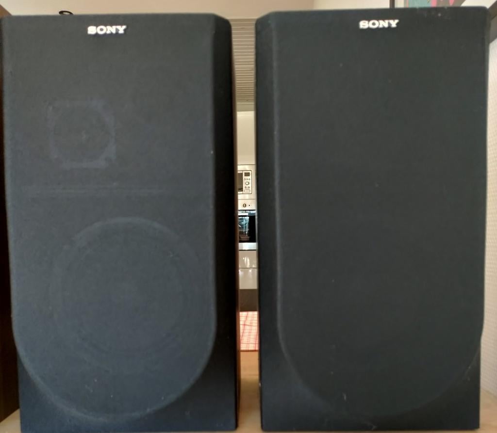 Sony...  Itt, Enlèvement, Sony