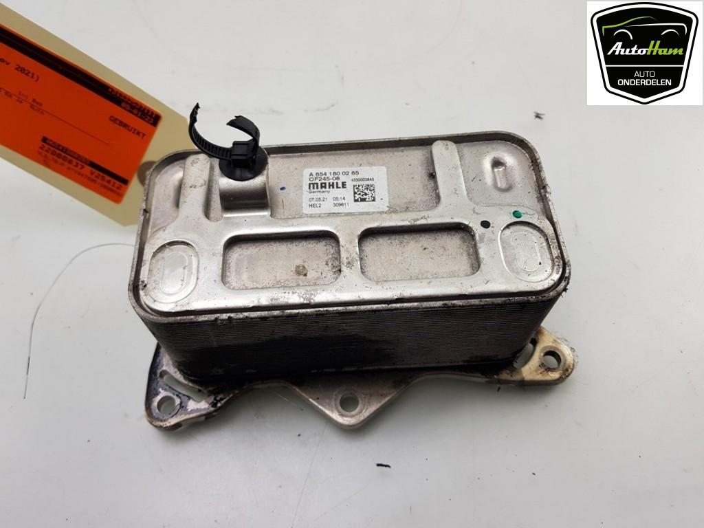 REFROIDISSEUR HUILE Vito (447.6) (01-2014/-) (|A6541800265|), Utilisé, Mercedes-Benz