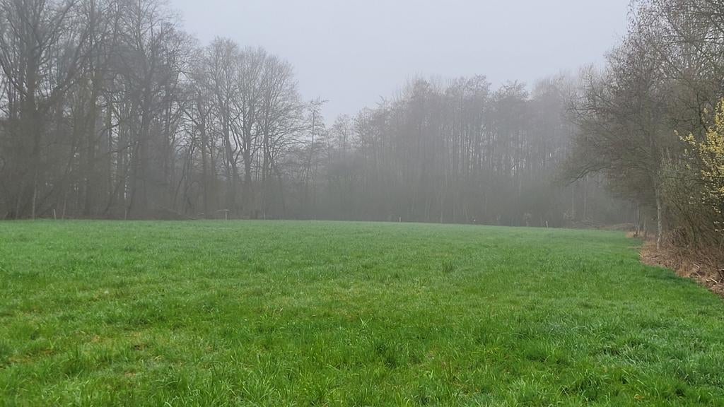 Weide grasland natuur landbouwgrond schapen paarden ...