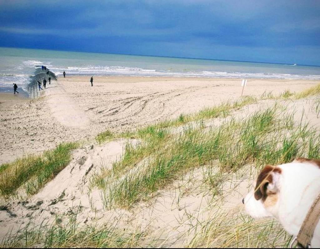 App te huur zeedijk Westende/Middelkerke/gar en strandcab, Immo, Appartements & Studios à louer