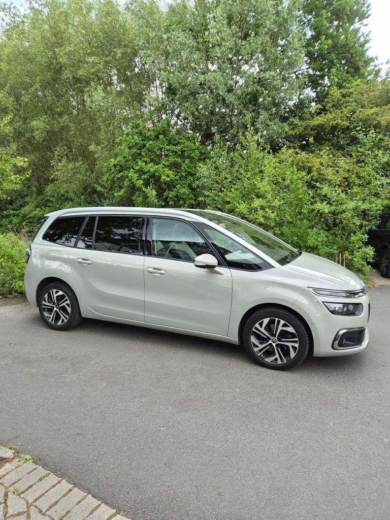 Citroën Grand C4 Spacetourer 2.0D 7zit massage leder Pano th, Auto's, Citroën, Automaat, Beige, Leder, Particulier