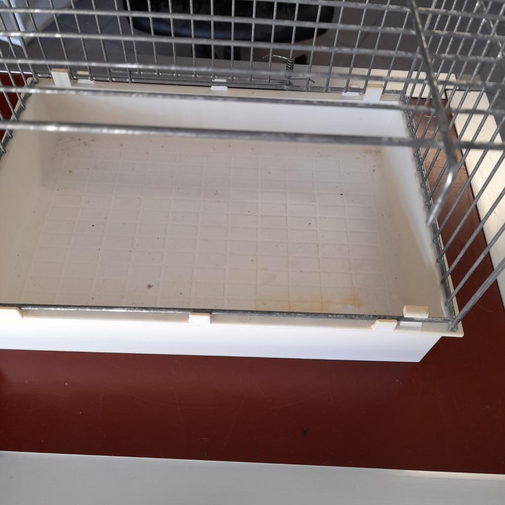 baby kooien voor canarie, Enlèvement, Comme neuf, Synthétique