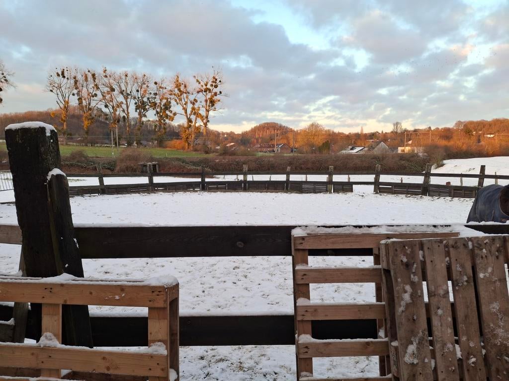 reste 3 boxes de disponible