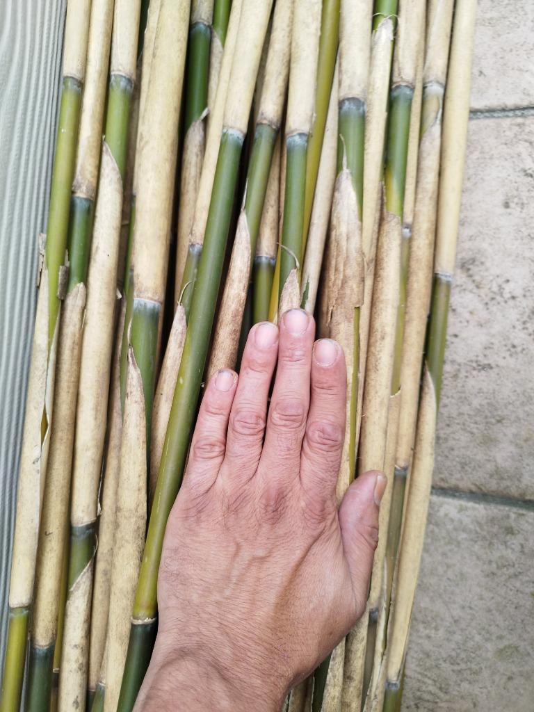 Tuteur en bambou, Jardin & Terrasse, Enlèvement