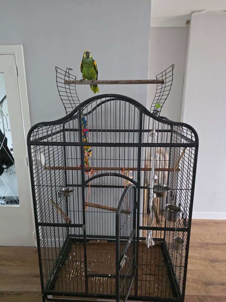 Grote vogelkooi geschikt voor papegaaien, Enlèvement, Comme neuf, Cage à oiseaux