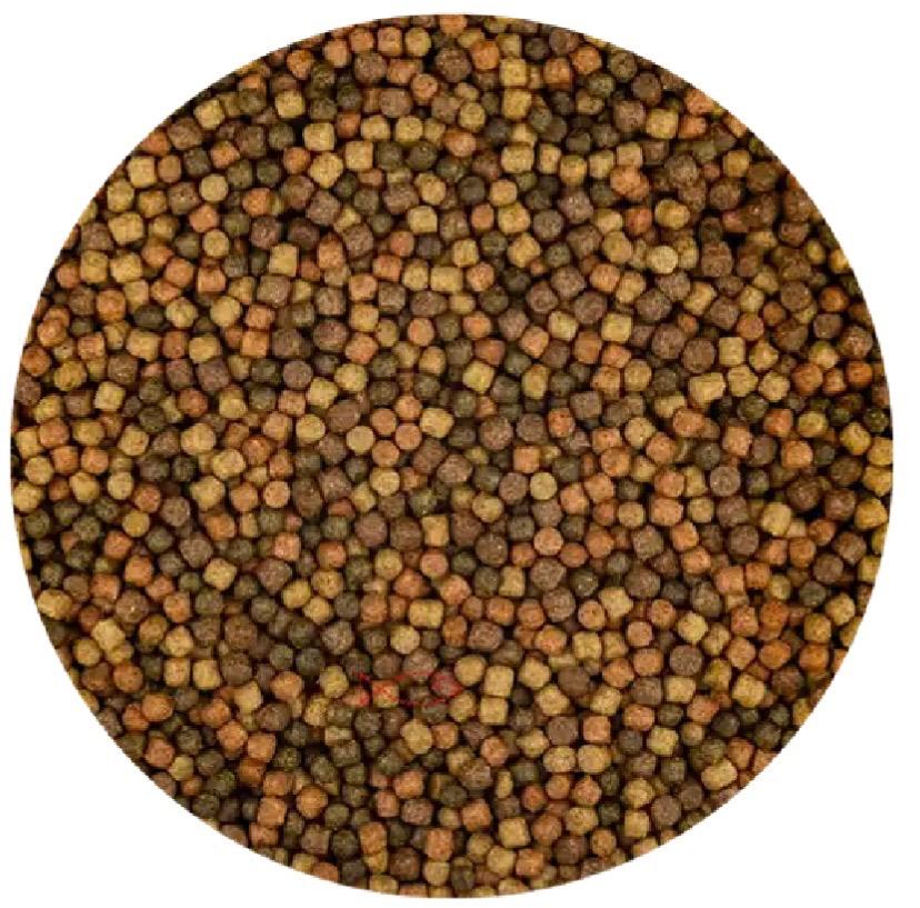 ACTIE Vivani Topmix 3mm 6mm, Carpe ou Koï