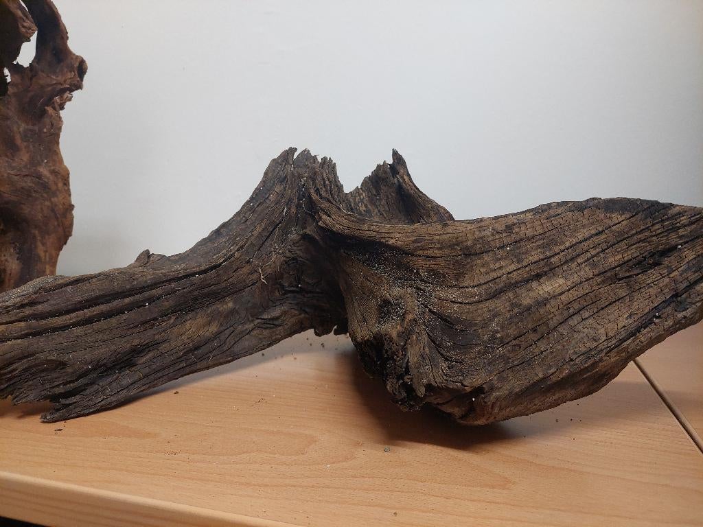 Kienhout voor aquarium of palladrium, Dieren en Toebehoren, Ophalen, Zo goed als nieuw, Plant(en), Steen of Hout