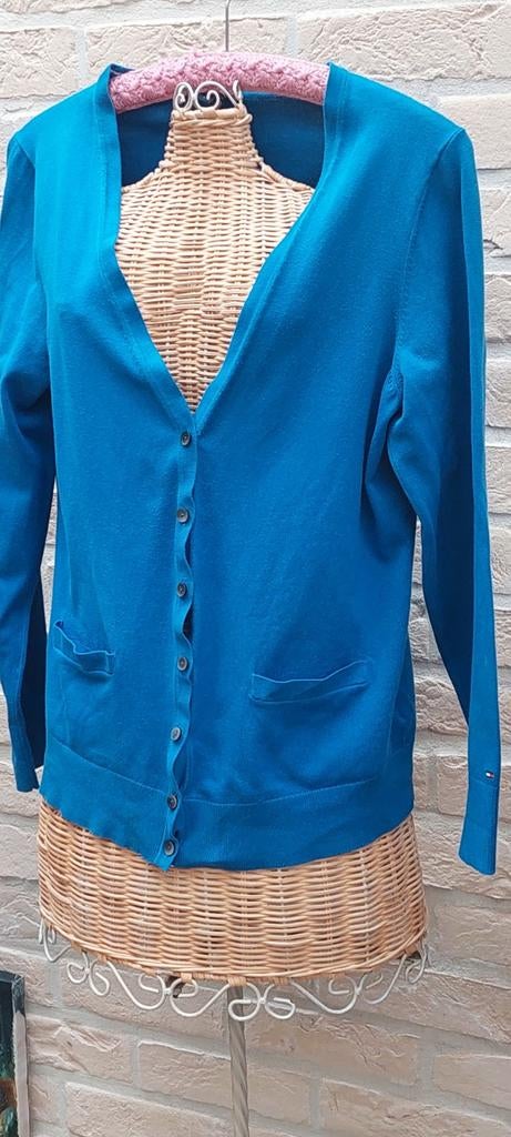 Vest maat l tommy hilfiger, Vêtements | Femmes, Pulls & Gilets, Taille 42/44 (L), Tommy hilfiger, Enlèvement ou Envoi, Comme neuf