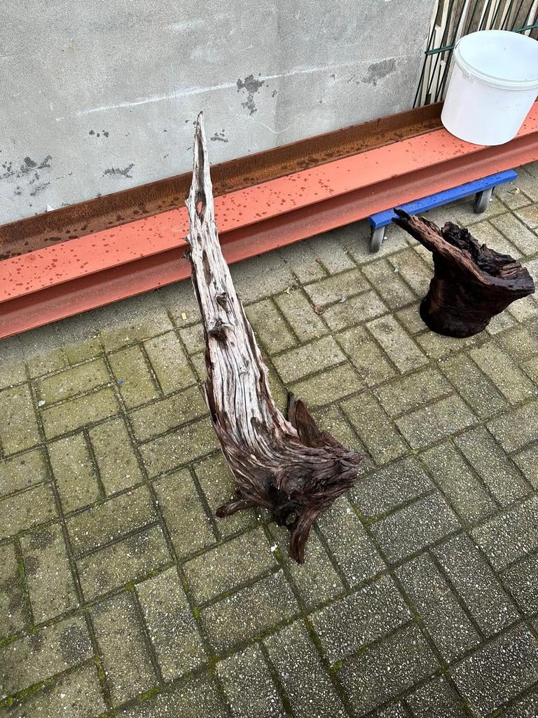 Kienhout 2 stuks, Animaux & Accessoires