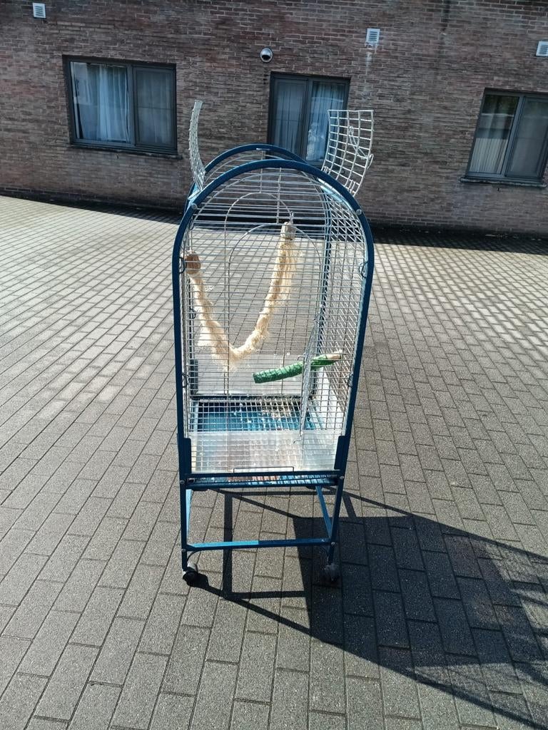 Papegaai kooi, Ophalen, Gebruikt