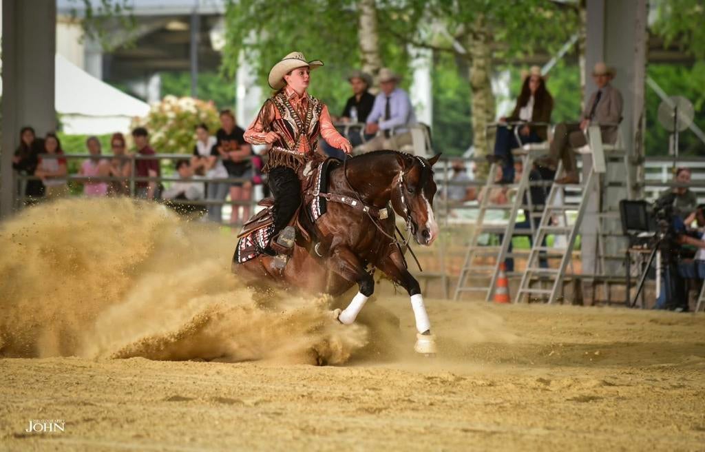 Aqha ruin, Hongre, Moins de 160 cm, Cheval western, 0 à 2 ans