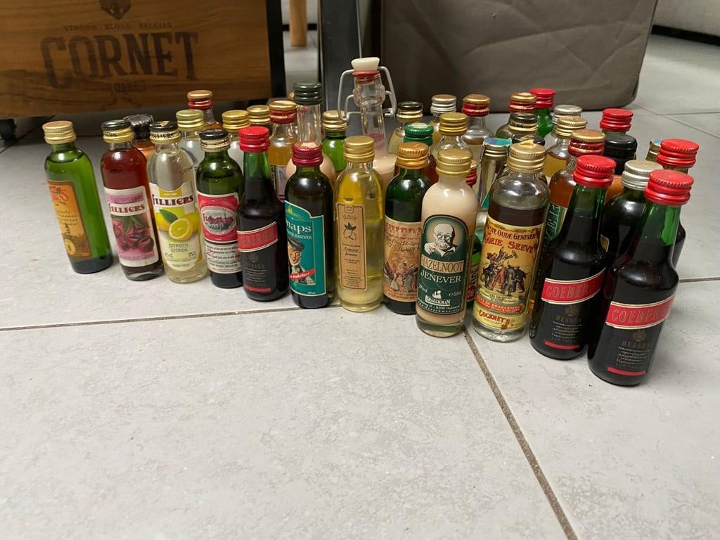 41 mini flesjes jenever, Verzamelen, Ophalen of Verzenden, Zo goed als nieuw, Overige typen