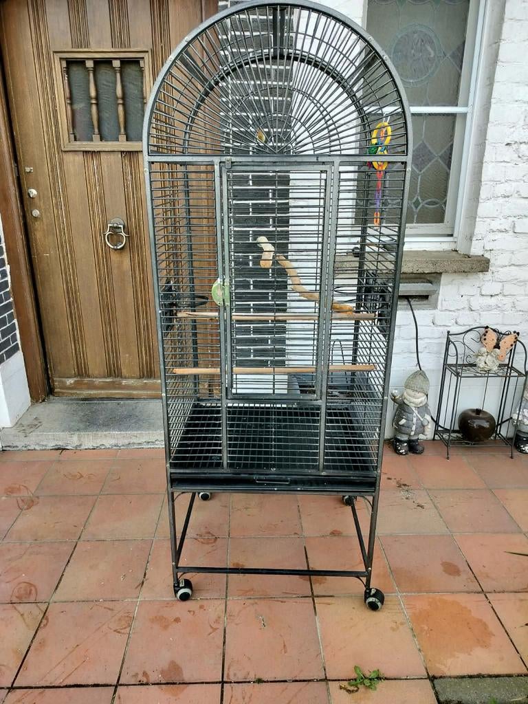 Grote vogelkooi / papegaaienkooi op wieltjes, Ophalen
