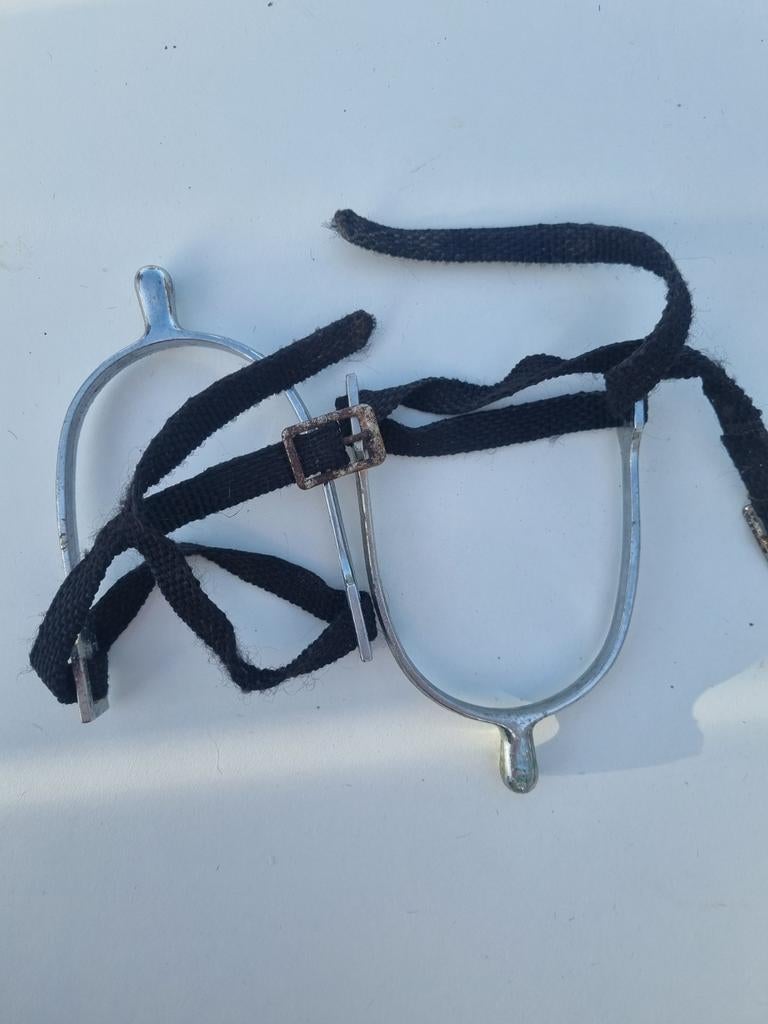 Matériel d'équitation (prix en description), Bricolage & Construction, Lunettes de protection, Enlèvement